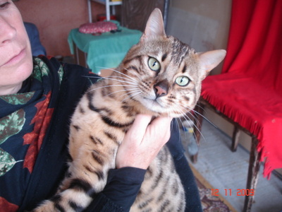 dsc07096_400